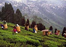 Wonders of Eastern Himalaya